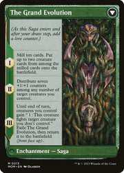 Vorinclex (Back)